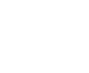 Evolution games at Slots Palace Casino